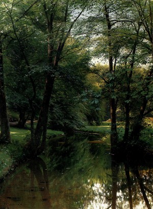Sunny day with trees and clear water along the stream